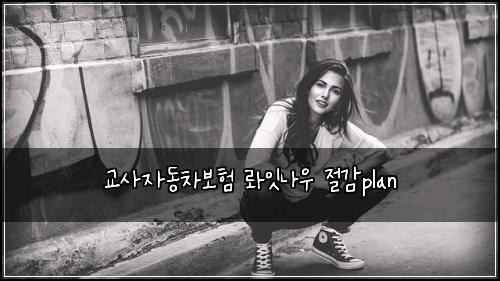 교사자동차보험 롸잇나우  절감plan