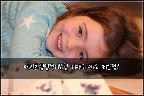메리츠생명정기보험 기대하세요  최신정보