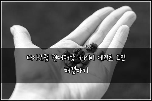 태아보험 현대해상 케이비 메리츠 고민 해결하기