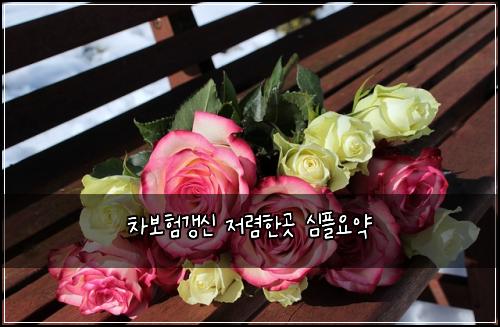 차보험갱신 저렴한곳 심플요약