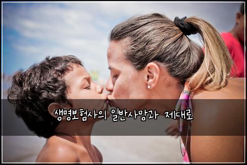 ์๋ช
๋ณดํ์ฌ์ ์ผ๋ฐ์ฌ๋ง๊ณผ ์ ๋๋ก