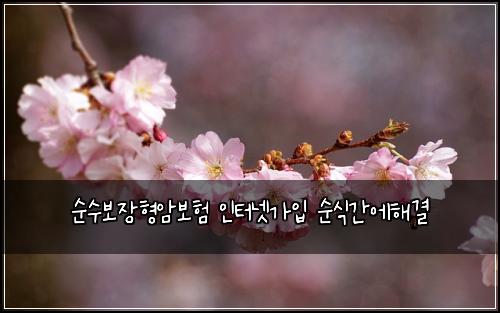 순수보장형암보험 인터넷가입  순식간에해결