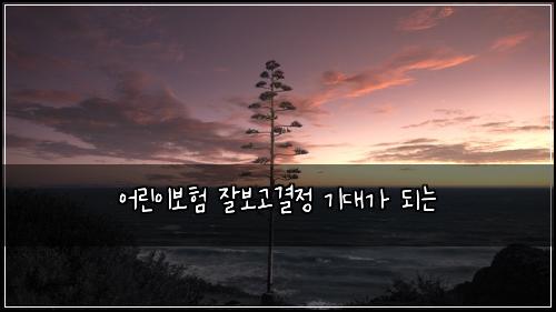 어린이보험 잘보고결정  기대가 되는