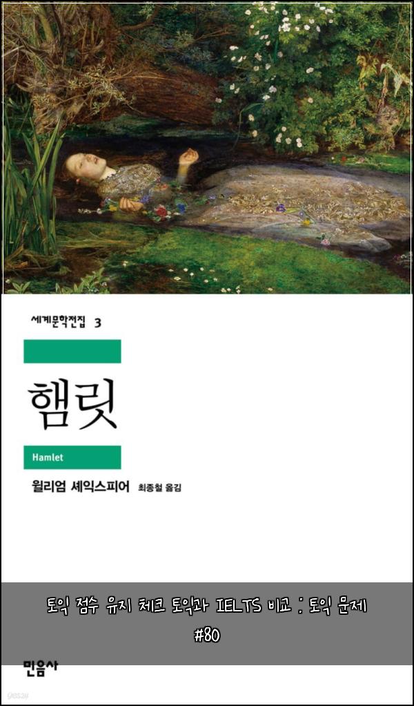 토익 점수 유지 체크 토익과 IELTS 비교 : 토익 문제 #80