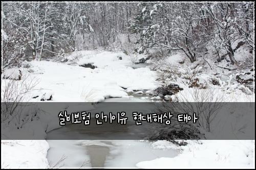 실비보험 인기이유  현대해상 태아