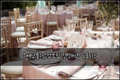 ๋ฌด๋ฐฐ๋นํ๋ฌ์ค์๋ณดํ ๊ฒฌ์ ์ฒดํฌ ๋์๋๋