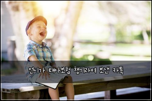 언니가 태아보험 챙기라며 보낸 카톡
