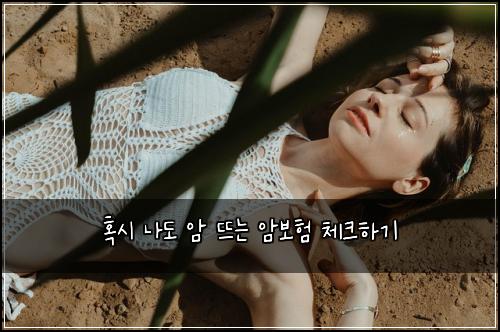 혹시 나도 암 뜨는 암보험 체크하기