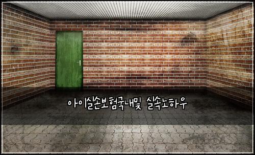 아이실손보험국내및 실속노하우