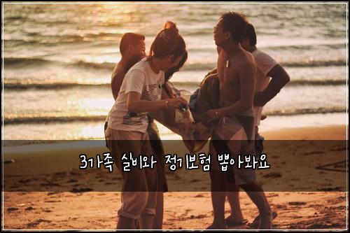3가족 실비와 정기보험 뽑아봐요 