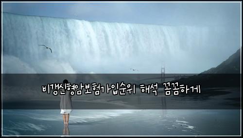 비갱신형암보험가입순위 해석 꼼꼼하게