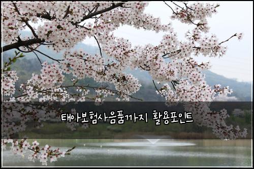 태아보험사음품까지 활용포인트