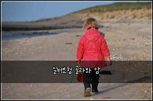 실버보험 골라봐  암