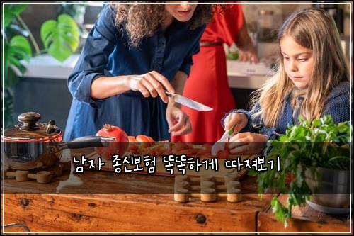 남자 종신보험 똑똑하게 따져보기