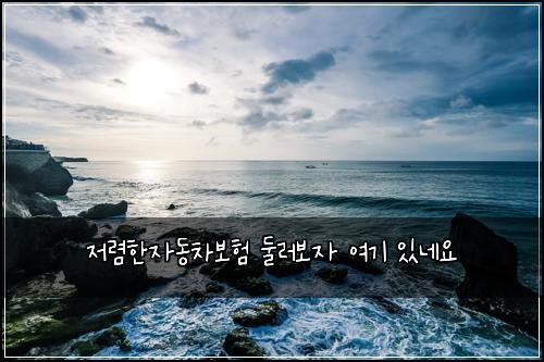 저렴한자동차보험 둘러보자  여기 있네요