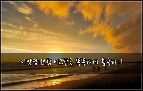 사망정기보험 비교할곳  똑똑하게 활용하기