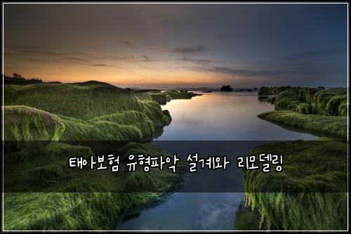 태아보험 유형파악  설계와 리모델링