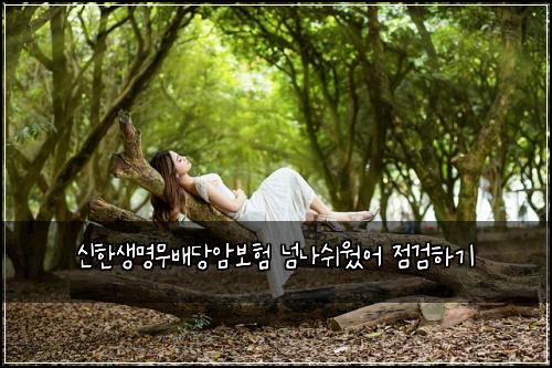 신한생명무배당암보험 넘나쉬웠어  점검하기