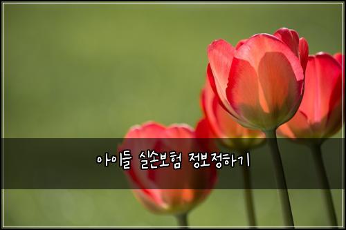 아이들 실손보험 정보정하기 