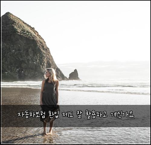 자동차보험 환입 제도 잘 활용하고 계신가요