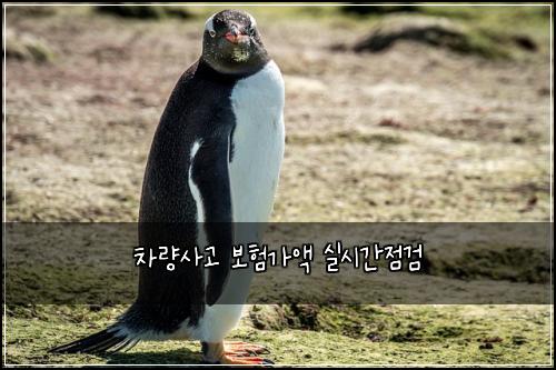 차량사고 보험가액 실시간점검