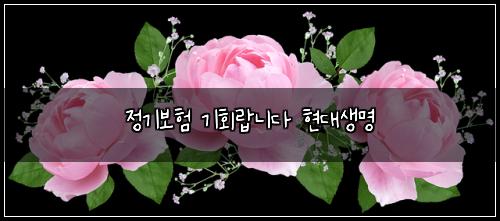 ์ ๊ธฐ๋ณดํ ๊ธฐํ๋๋๋ค ํ๋์๋ช
