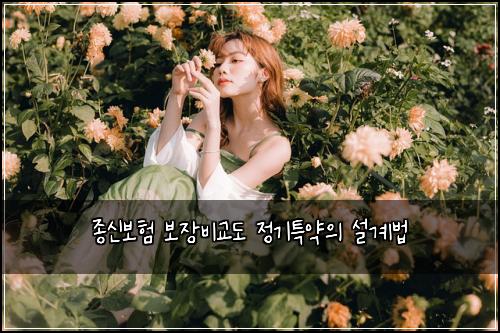 종신보험 보장비교도  정기특약의 설계법