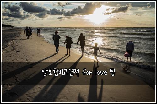 ์๋ณดํ๋น๊ต๊ฒฌ์ for love ํ
