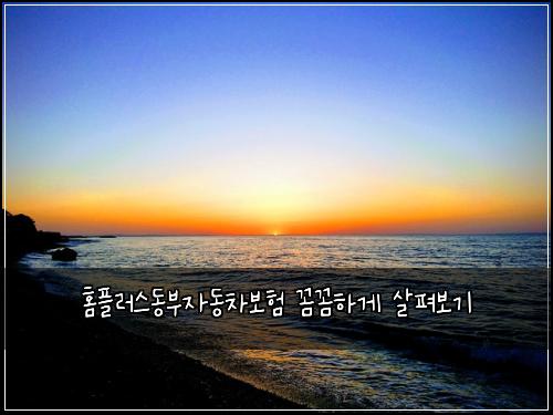 홈플러스동부자동차보험 꼼꼼하게 살펴보기