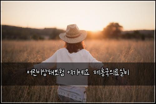 어린이상해보험 여기예요  제흥국의료실비