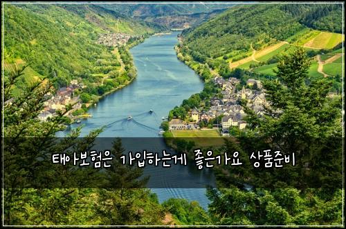 태아보험은 가입하는게 좋은가요 상품준비