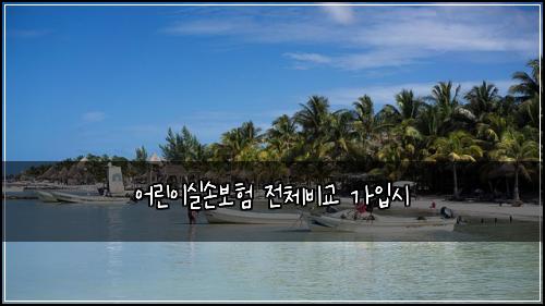 ์ด๋ฆฐ์ด์ค์๋ณดํ ์ ์ฒด๋น๊ต ๊ฐ์
์