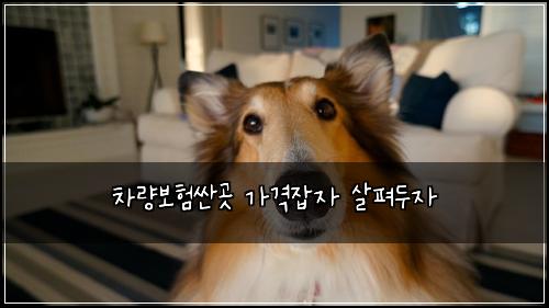 ์ฐจ๋๋ณดํ์ผ๊ณณ ๊ฐ๊ฒฉ์ก์ ์ดํด๋์