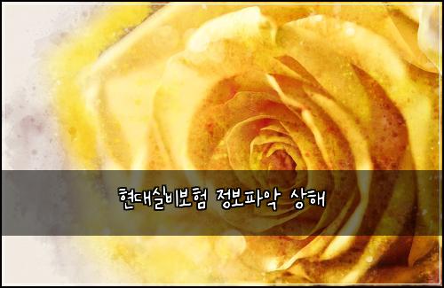 현대실비보험 정보파악  상해