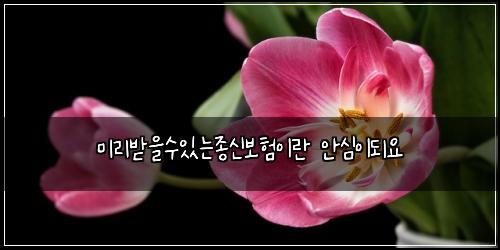 미리받을수있는종신보험이란 안심이되요