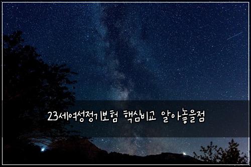 23세여성정기보험 핵심비교  알아놓을점