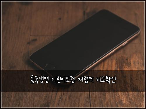 ํฅ๊ตญ์๋ช
์ด๋ฆฐ์ด๋ณดํ ์ ๋ ดํ ๋น๊ตํ์ธ