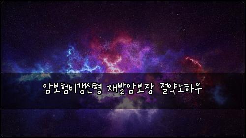 암보험비갱신형 재발암보장 절약노하우