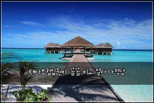 ํ์๋ณดํ์
์๋น ๊ผผ๊ผผ ๋น๊ต ์ผ๋ง๊ฐ์ ๋น
