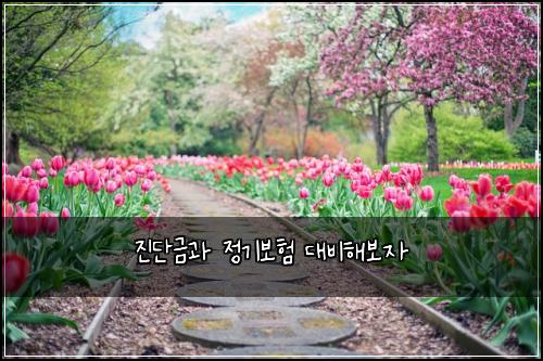 진단금과 정기보험 대비해보자 