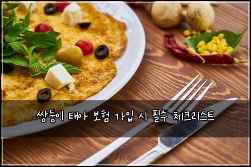 쌍둥이 태아 보험 가입 시 필수 체크리스트