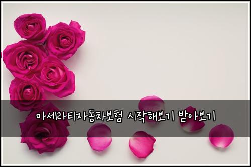 λ§μΈλΌν°μλ차보ν μμν΄λ³΄κΈ° λ°μ보기