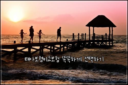 태아보혐비교보험 똑똑하게 선택하기