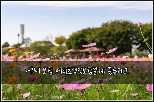 ์ด๋ฆฐ์ด ๋ณดํ ๋ฉ๋ฆฌ์ธ ์๋ช
๋ณดํ์ค๊ณ ์ข
๋ฅ์ฒดํฌ