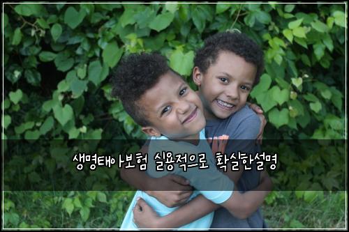 생명태아보험 실용적으로  확실한설명