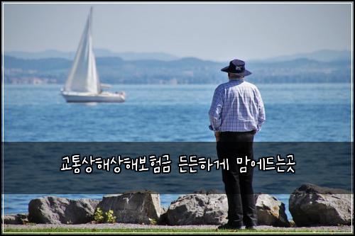 교통상해상해보험금 든든하게 맘에드는곳