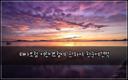 νμ보ν μ΄λ¦°μ΄λ³΄νμ κ΄νμ¬ νλμ견μ 