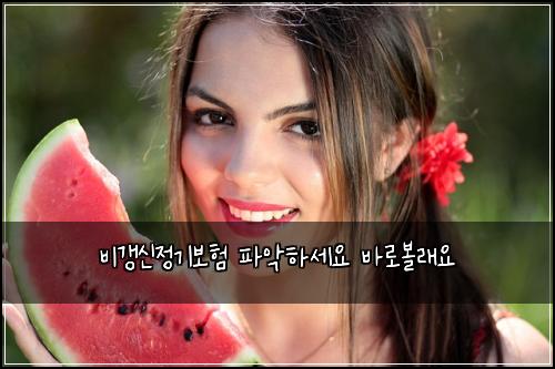 비갱신정기보험 파악하세요  바로볼래요