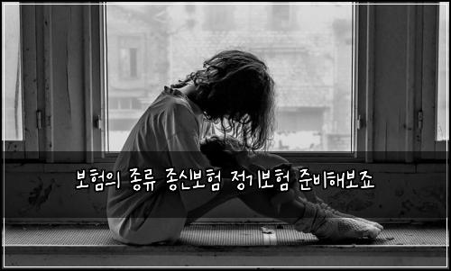 ๋ณดํ์ ์ข
๋ฅ ์ข
์ ๋ณดํ ์ ๊ธฐ๋ณดํ ์ค๋นํด๋ณด์ฃ