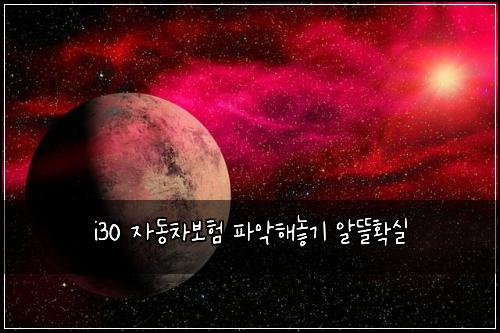 i30 μλ차보ν νμ
ν΄λκΈ° μλ°νμ€